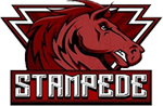 Holly Stampede Youth Football and Cheerleading
