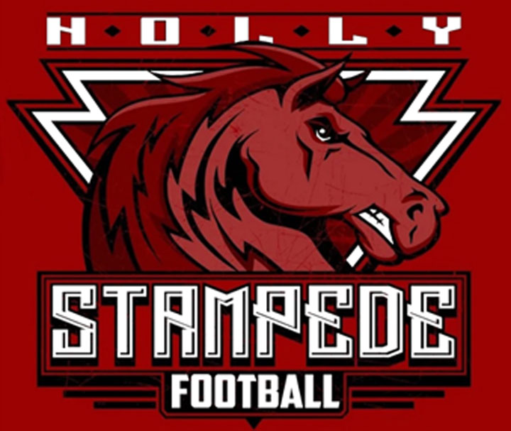 Holly Stampede Youth Football and Cheer Holly, Michigan Logo